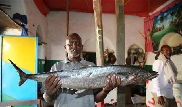 1979年，索马里向我国付了一半定金，购买了24架歼6战斗机，哪知道，战斗机交货