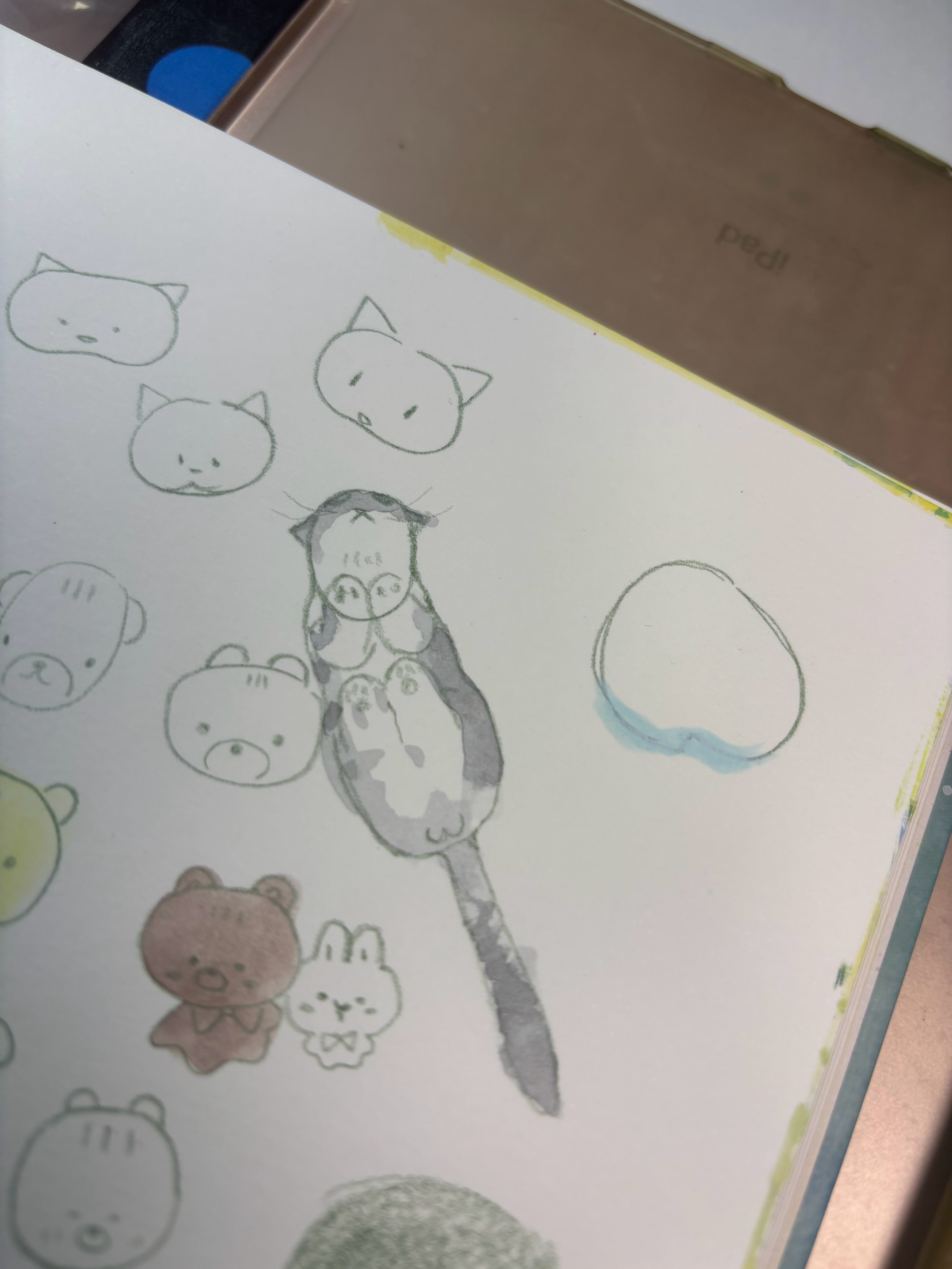 老虎 