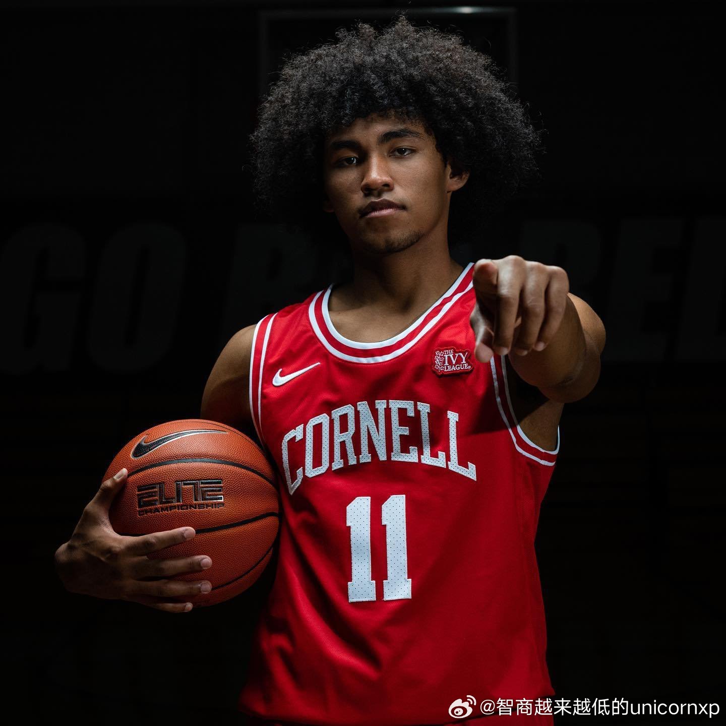 贺丹本赛季在NCAA的表现可以用蜕变来形容NCAAncaa亚洲球员