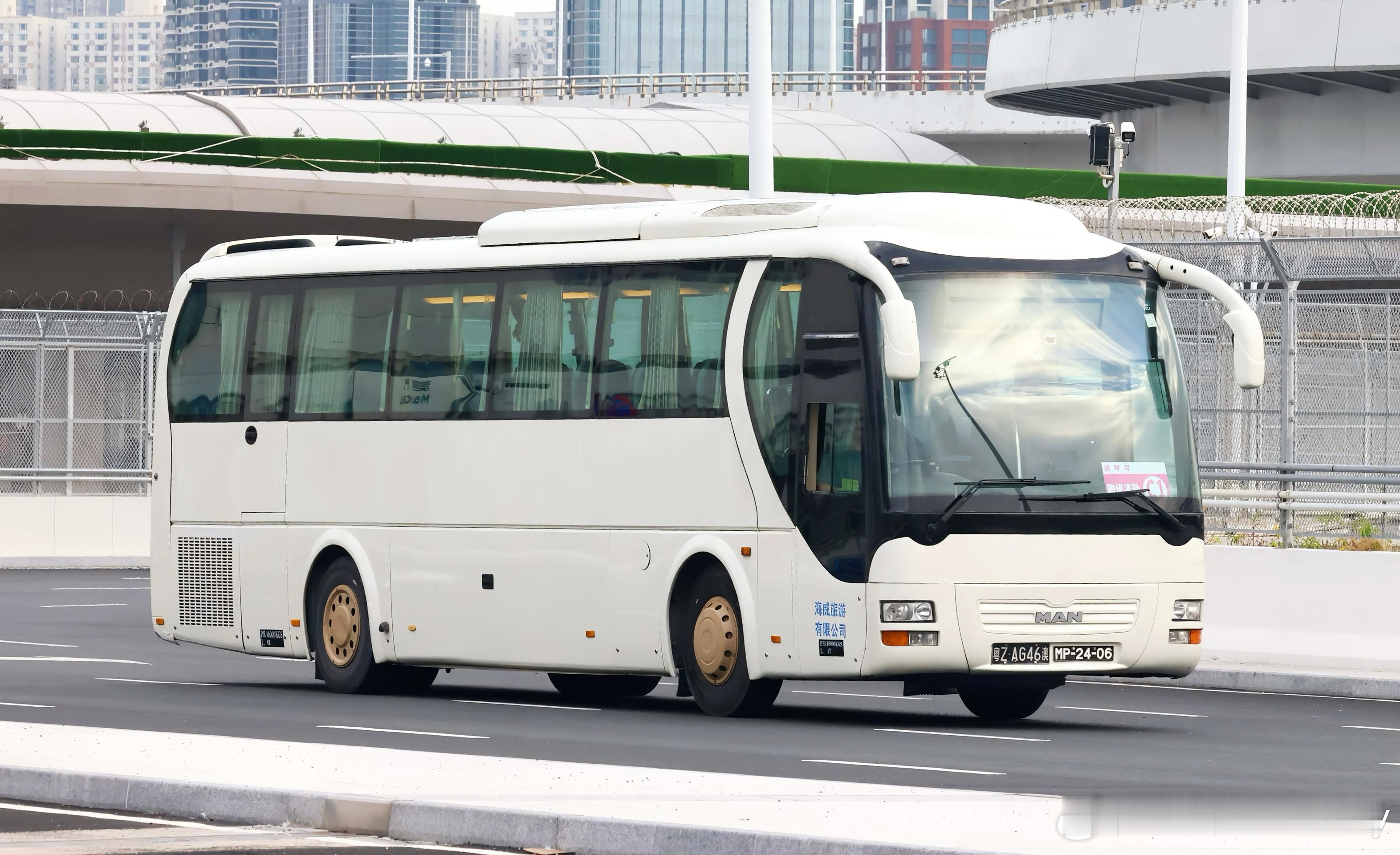 美丽Lion’s Coach 