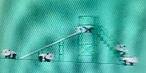 最近发现个超有意思的心理年龄测试，结果真的让人惊喜！心理年龄可比生理年龄更能反映