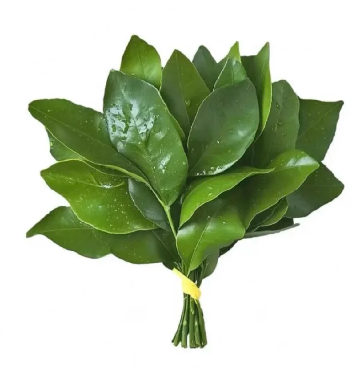 还在清明节之前，感觉需要撒一把米 