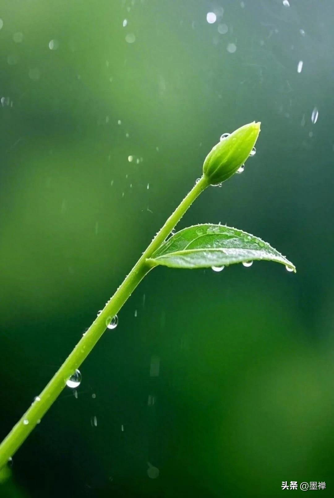 未来几年，聪明人都在悄悄做这15件事：

1、房子，量力而行，月供别超过收入的三