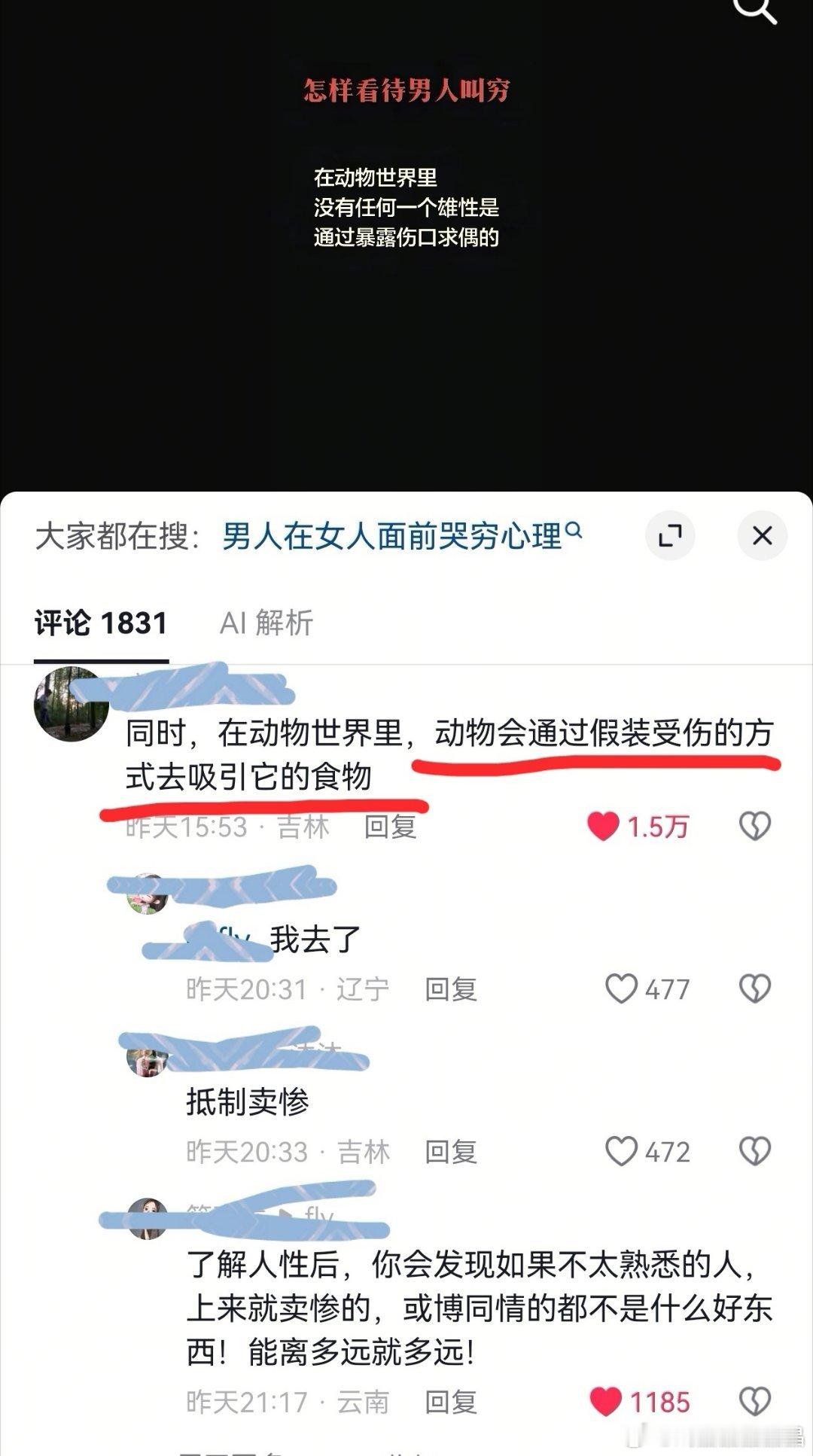动物会通过假装受伤的方式吸引它的食物那个经常让脂粉出来卖惨说哥哥腰伤、撞到头或者