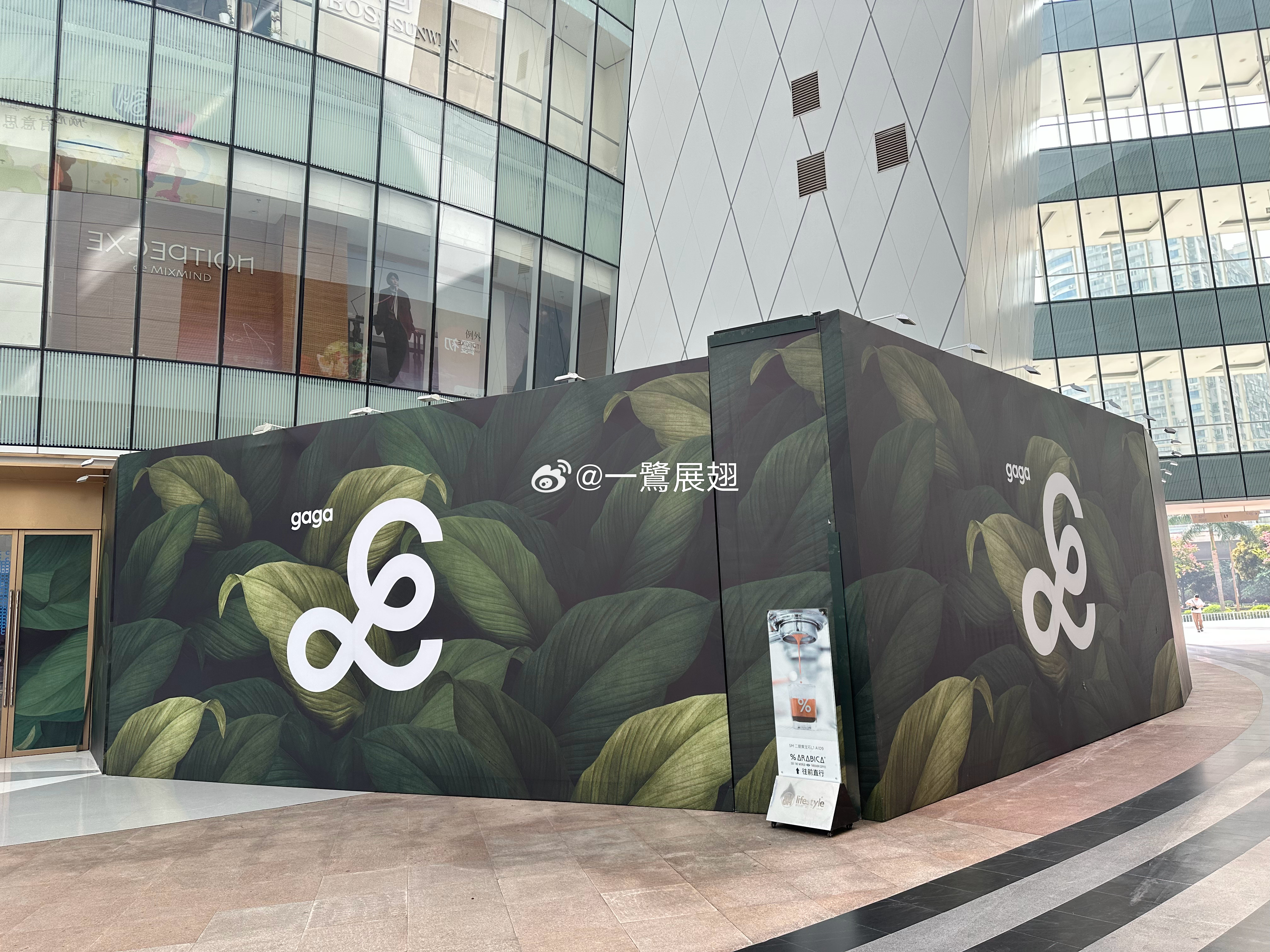 gaga二店也在加速与大家见面了[doge]  ​​​