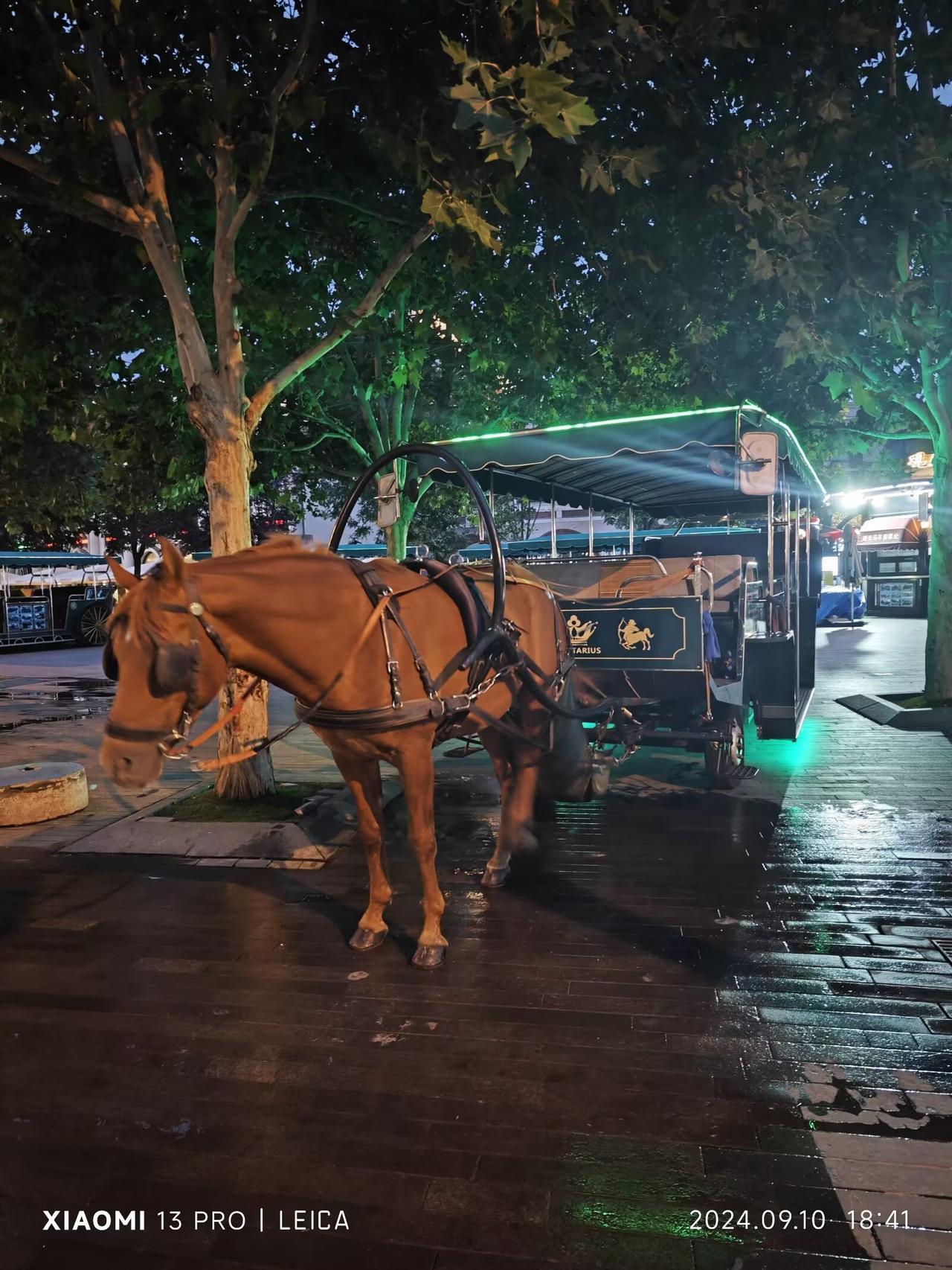 我要上精选-全民写作大赛