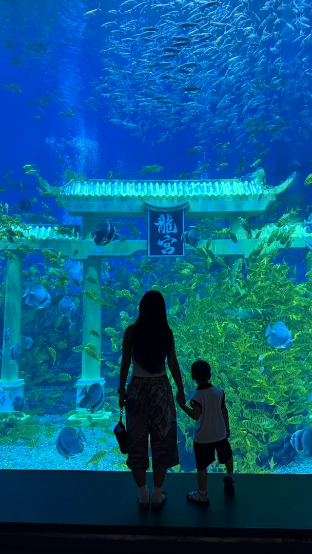 台风巴威11日影响最强台风要来了所以我们趁着这间隙自己自驾从武汉来郑州玩实在是太