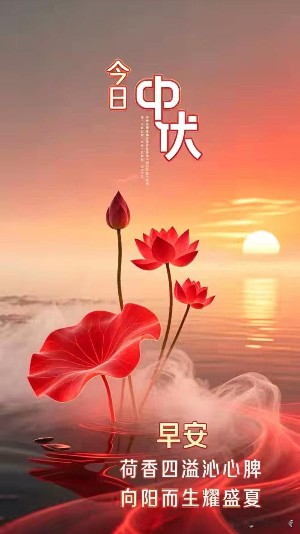 黑恶势力是社会的毒瘤，是社会主义建设的壁垒，是人民群众的心腹大患，是所有人的公敌