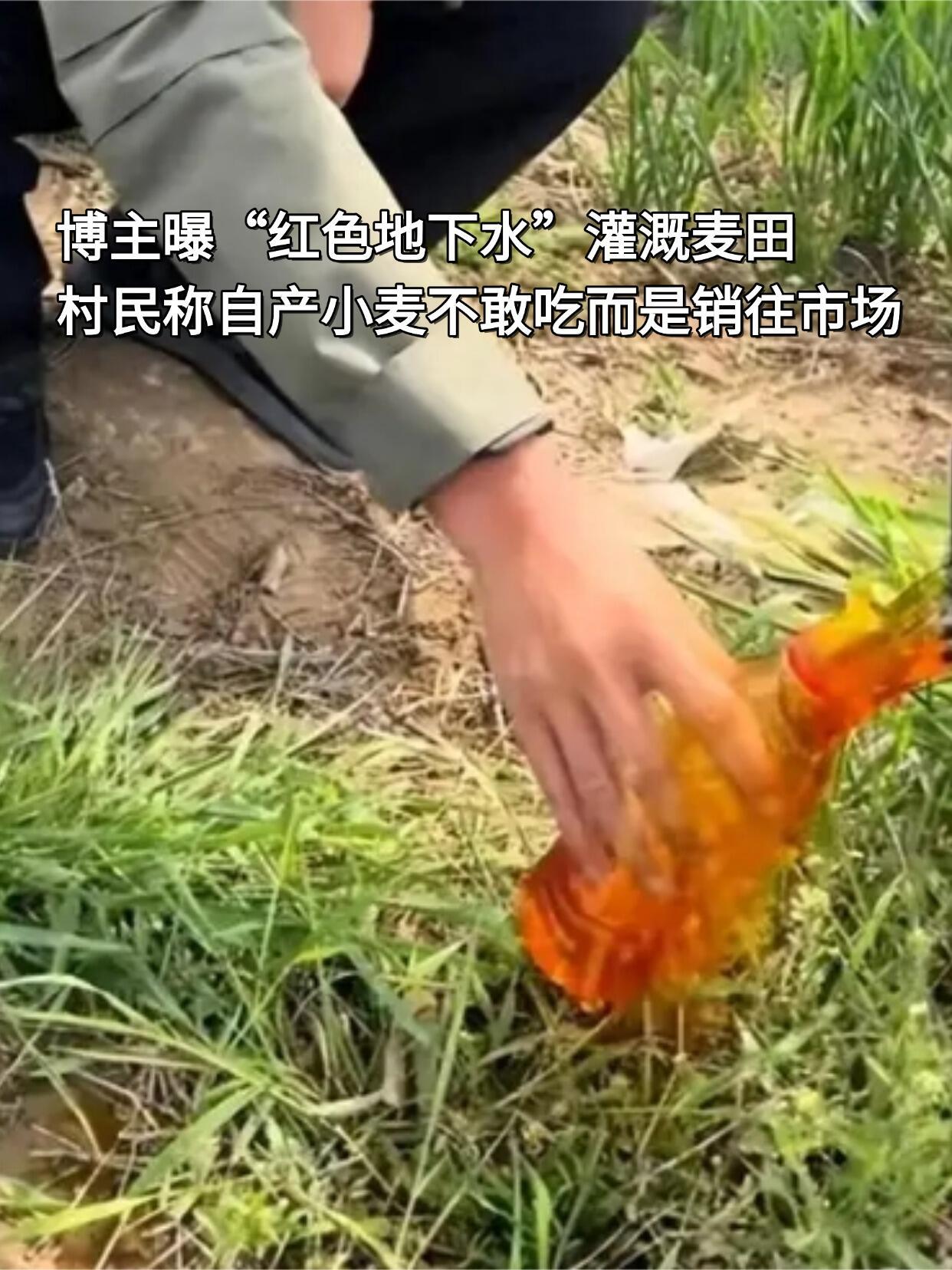 河北保定蠡县的地下水红得像冰红茶，村民拿它浇麦子，种出来的粮食自己不敢吃，全卖给