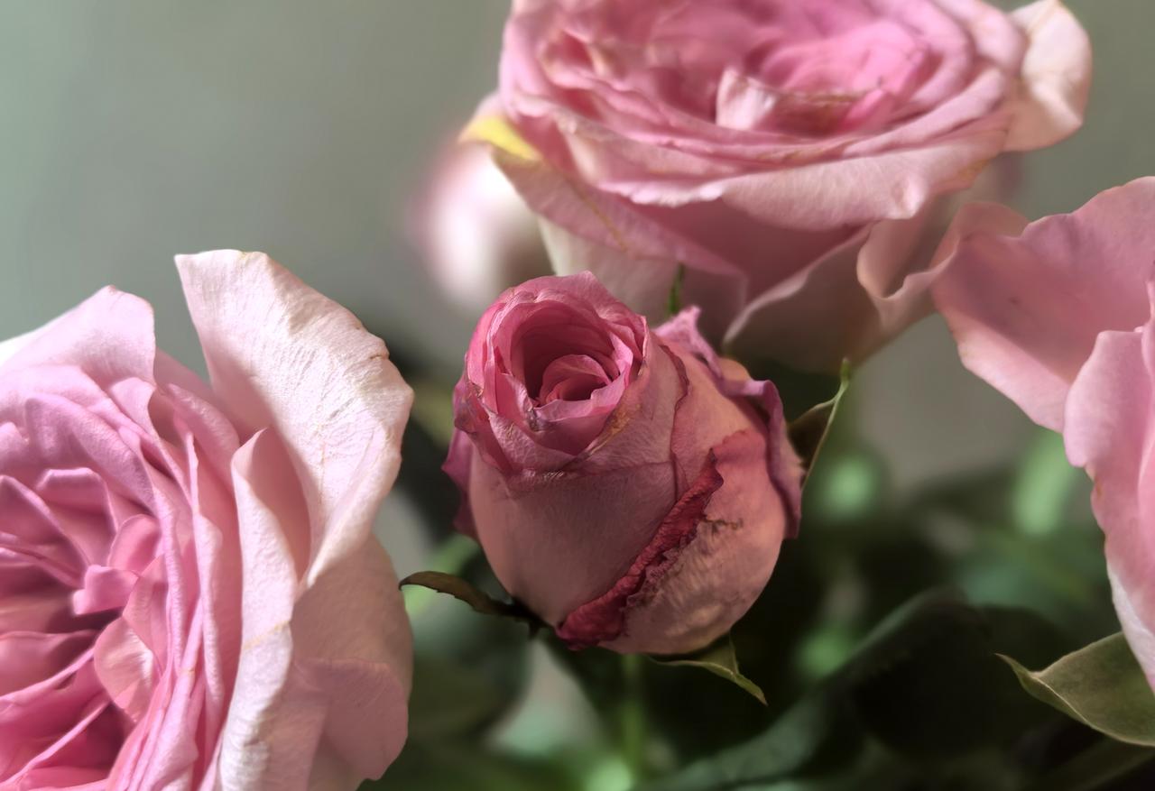 【热评】当值副校长的管理行为没有错
校方通报“学生买淀粉肠被拔车钥匙”

大同四