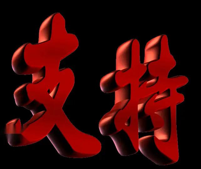 写的真好：坚决支持。