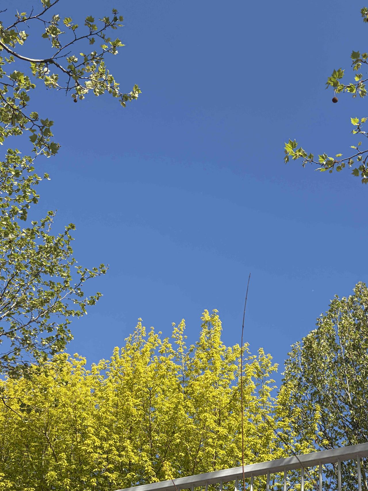 这样的天气真的让人心旷神怡

[赞][赞][赞]
身边处处是风景，
何必诗意和远