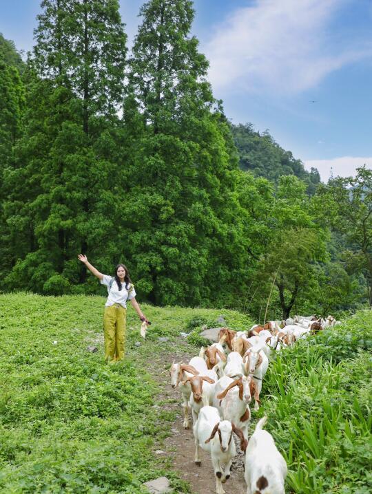藏不住了！🍃这条野趣十足又清凉的徒步路线！