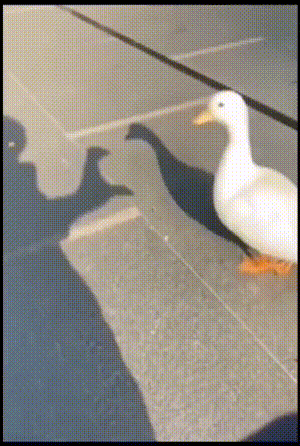 太残忍了，幸福的泪水在嘴角流出来 