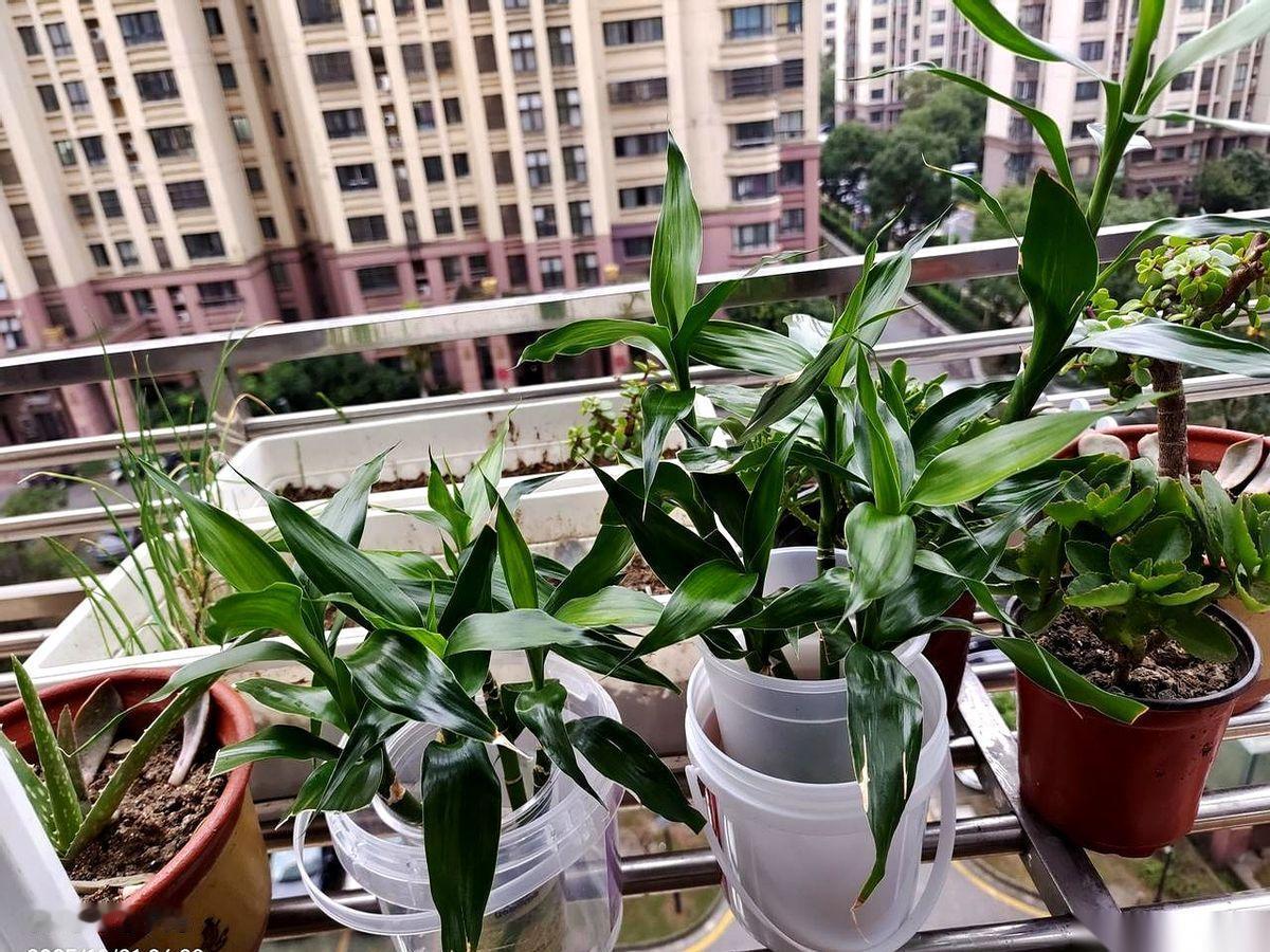 每天下班，我最奢侈的事，居然是用我刚擦完脸、还带着湿气的洗脸巾……
去仔仔细细伺