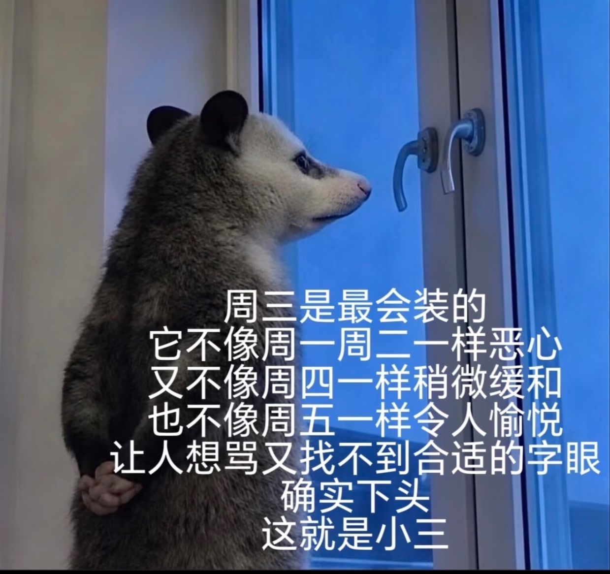 命苦的周三 