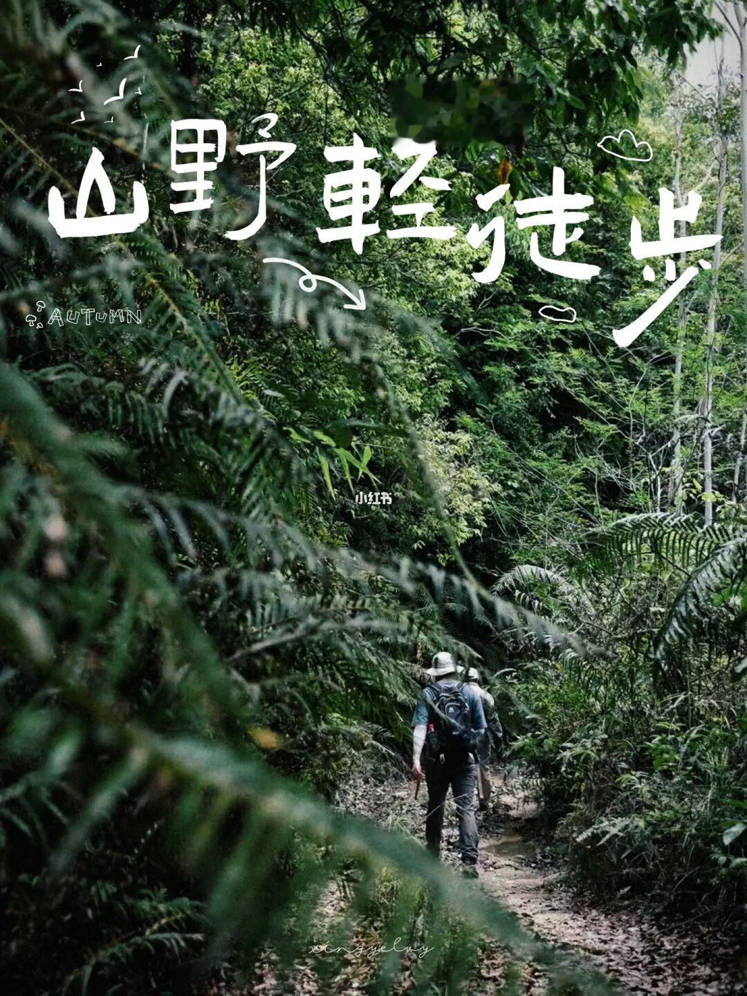 走！去惠州天堂河谷！开启秋日山野轻徒步🧗‍