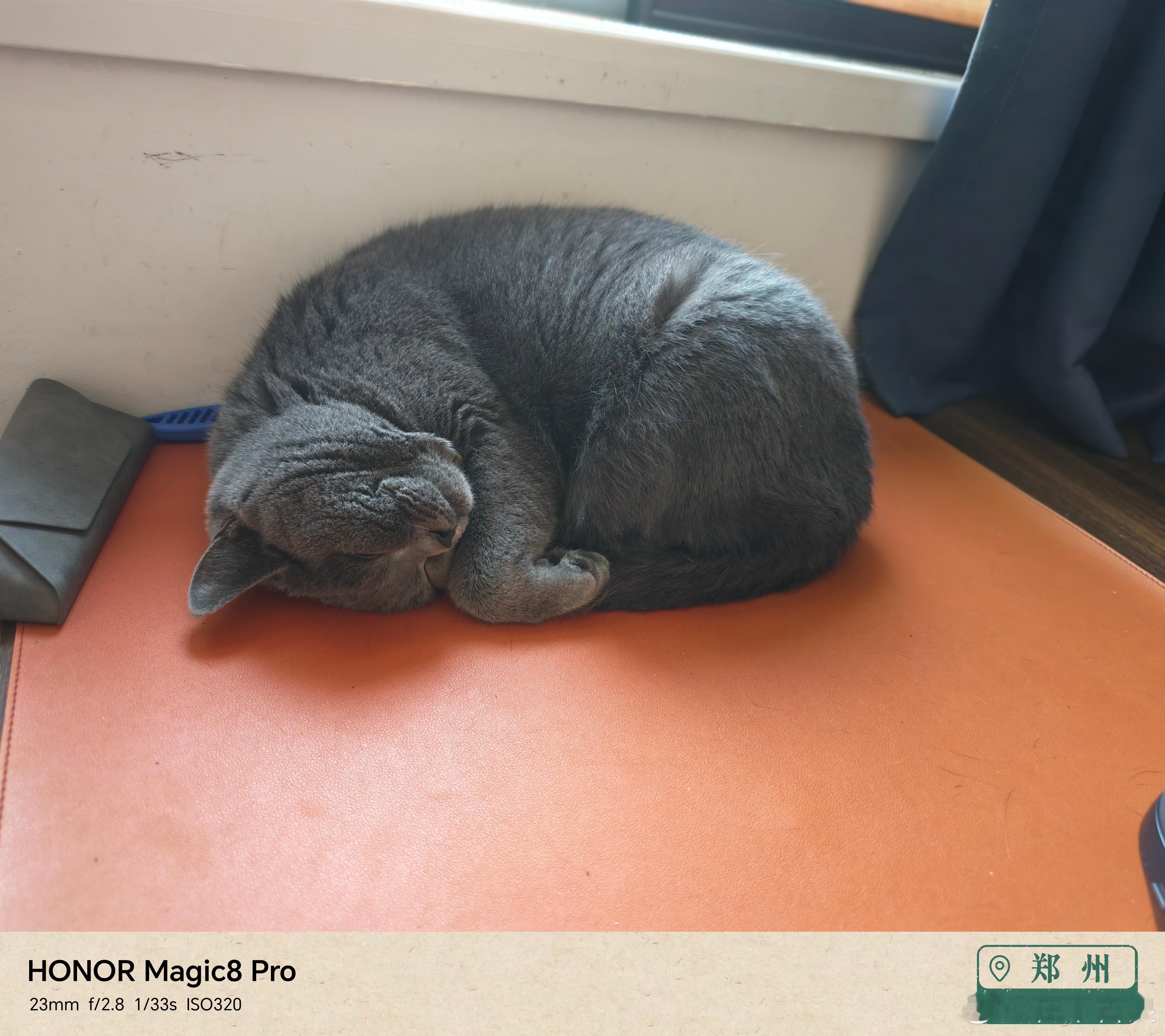 同事鼻息如雷鸣…… 