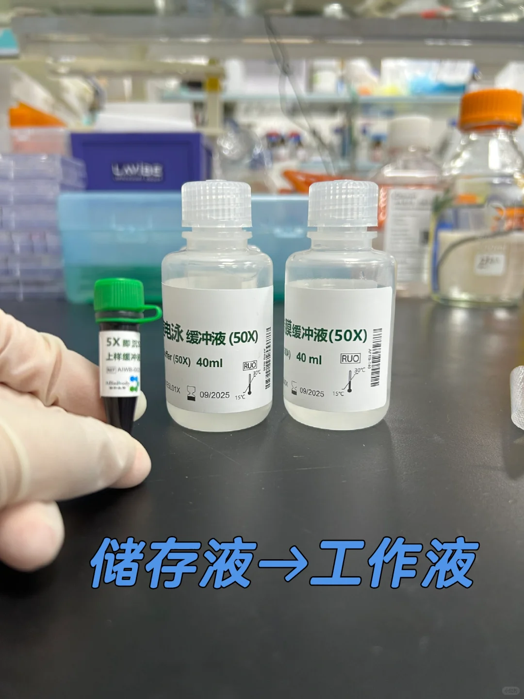 如何将5×，10×，50×的储存液稀释成1×工作液❓