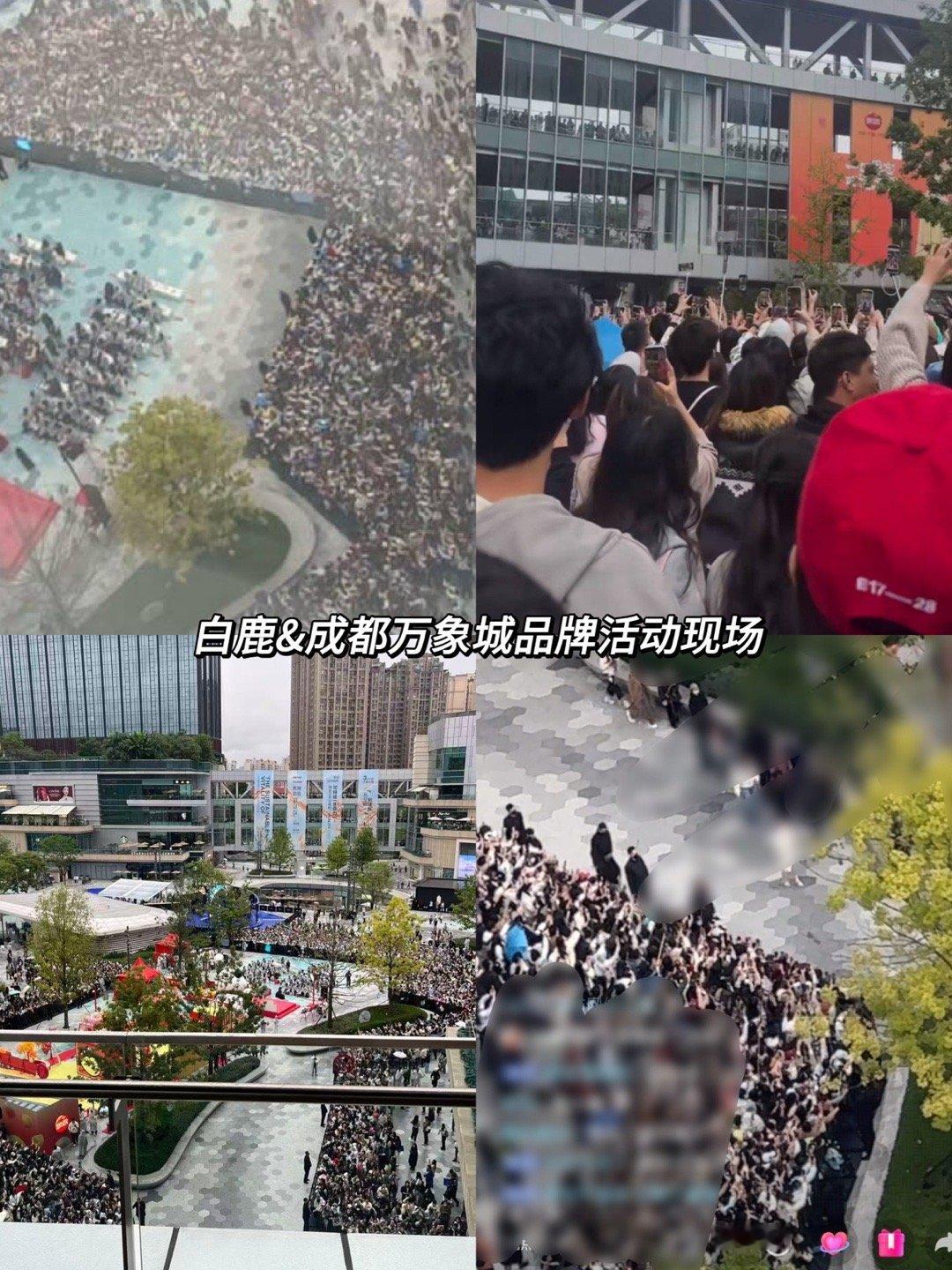 鹿毛这个嘴啊[柯基] ​​​