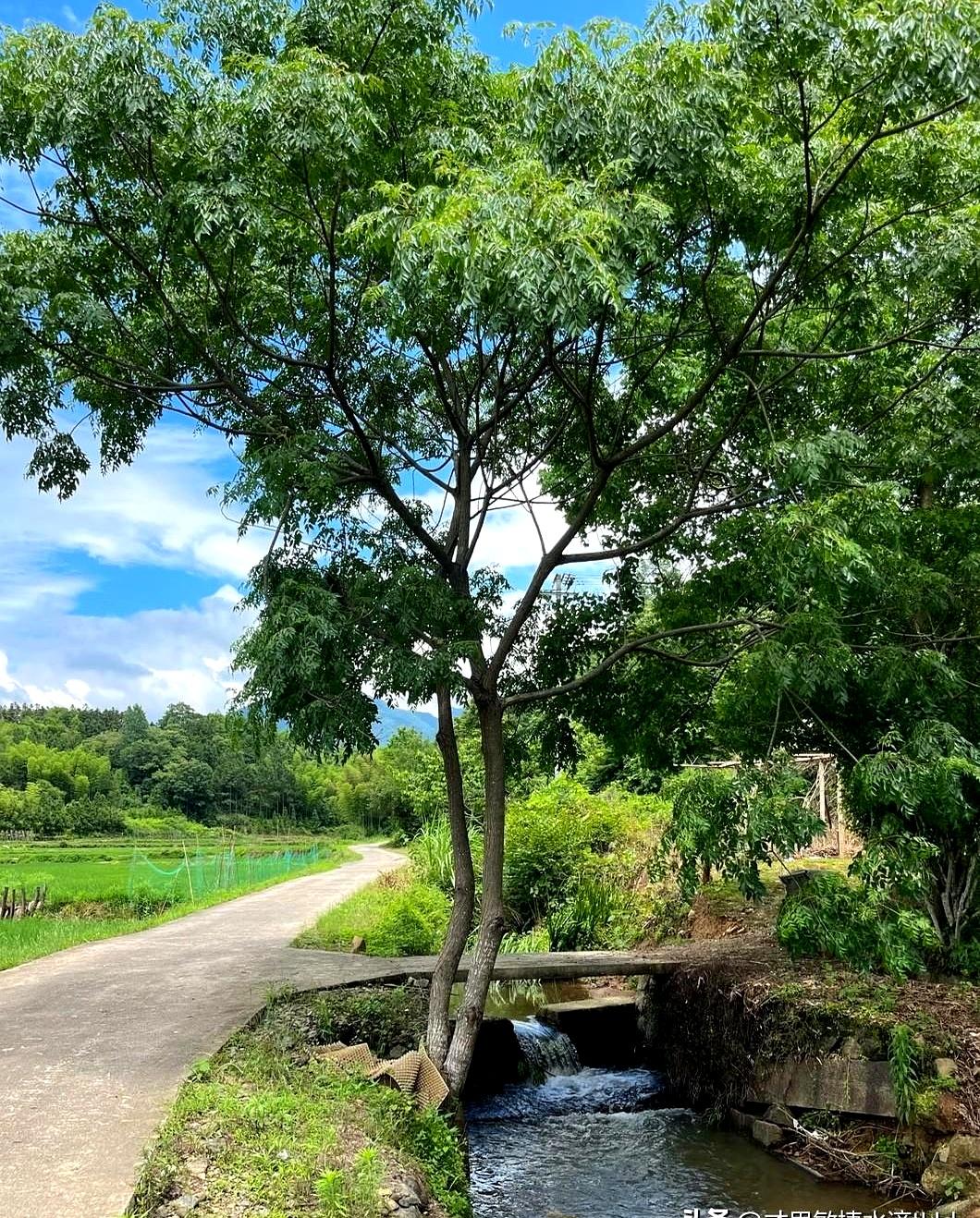 花了2万块复读，苦熬300多个日夜，结果高考516分照样滑档掉进“烧钱”的民办本