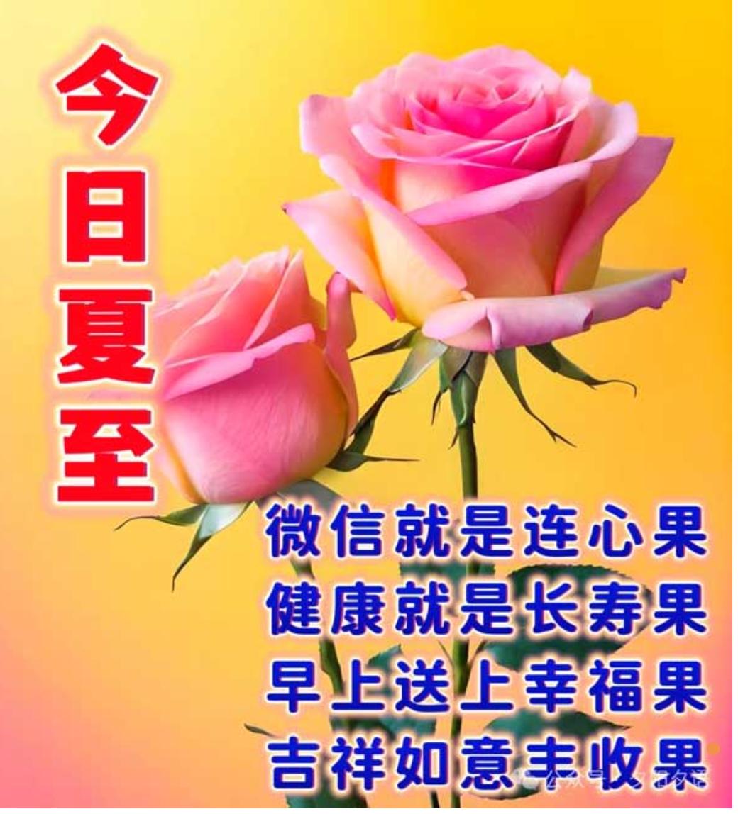 夏至到，问候送；
夏季来，气温高；
要防晒，多喝水；
休息好，防骄阳；
睡眠足，