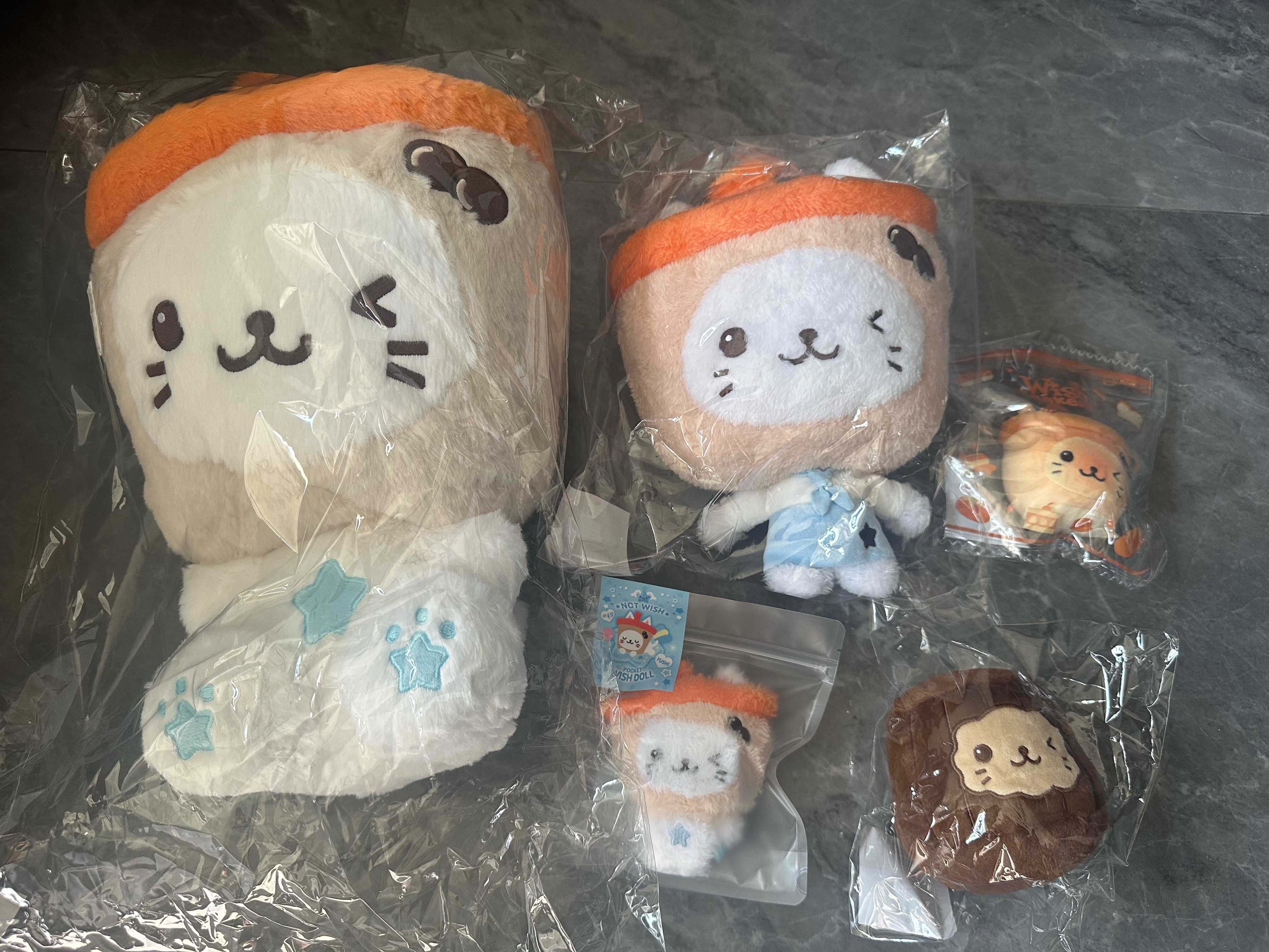 大肥猫终于到家了