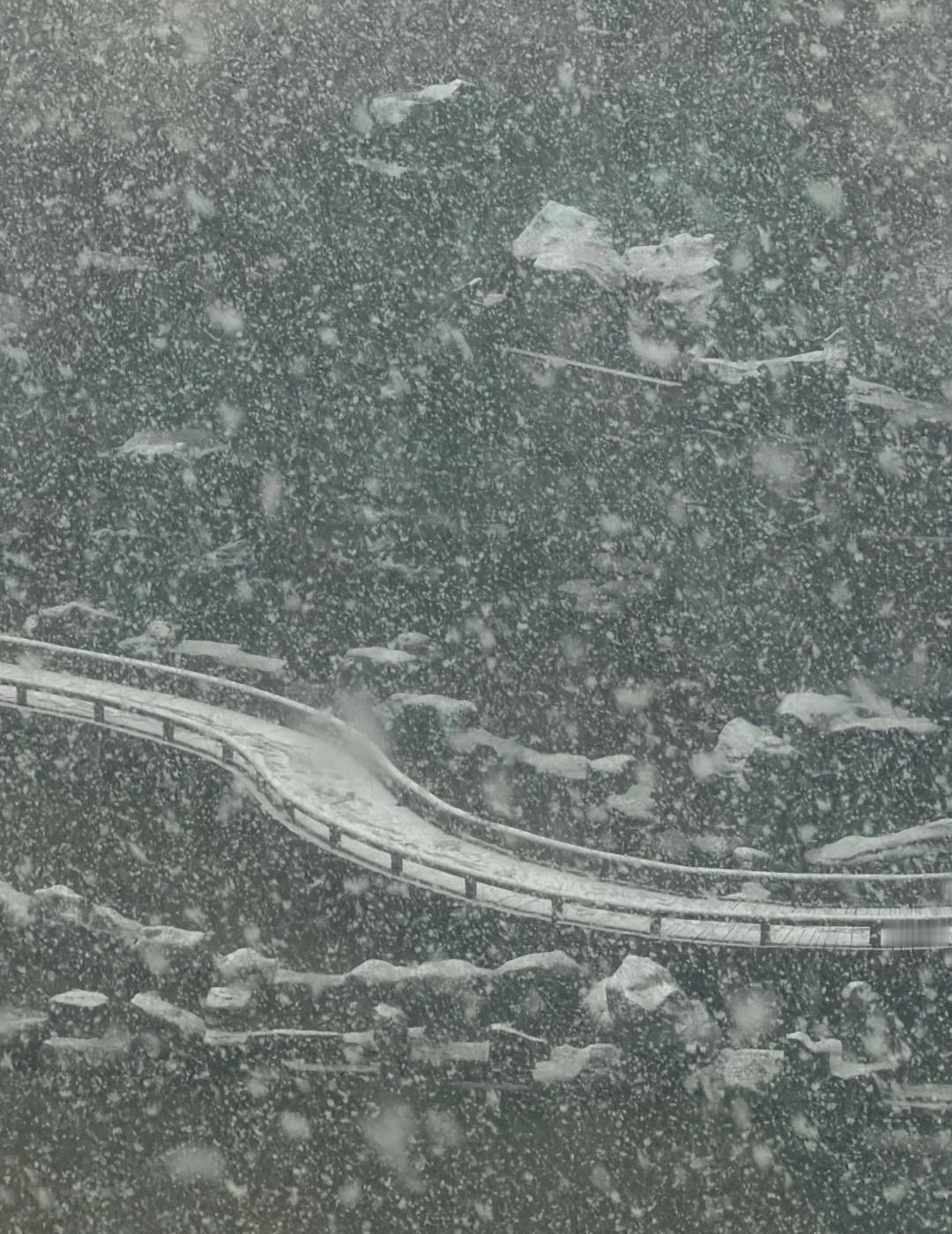 用一句话描述此刻西安的暴雪❄️
应是天仙狂醉
乱把白云揉碎