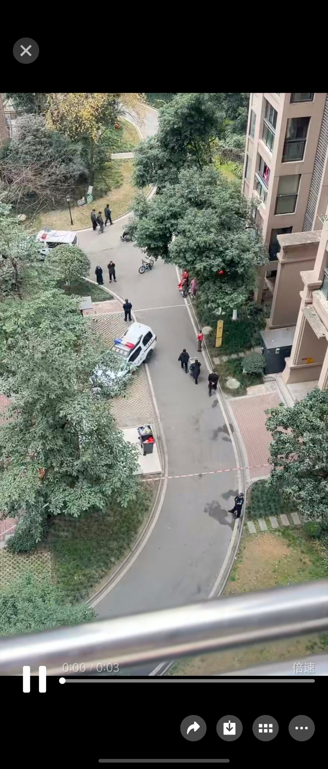 我服，我们小区有人跳楼没了，还是我们那栋楼的   马上了过年还搞这出 