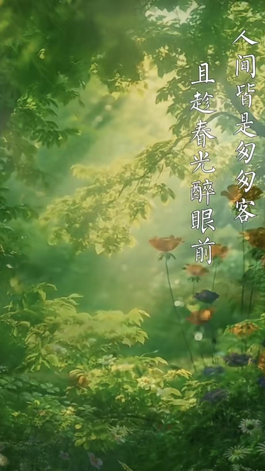 塞鸿秋·春暮感怀
不负人间四月天，
繁花未歇柳含烟。
半生风雨霜侵鬓，
一盏清欢