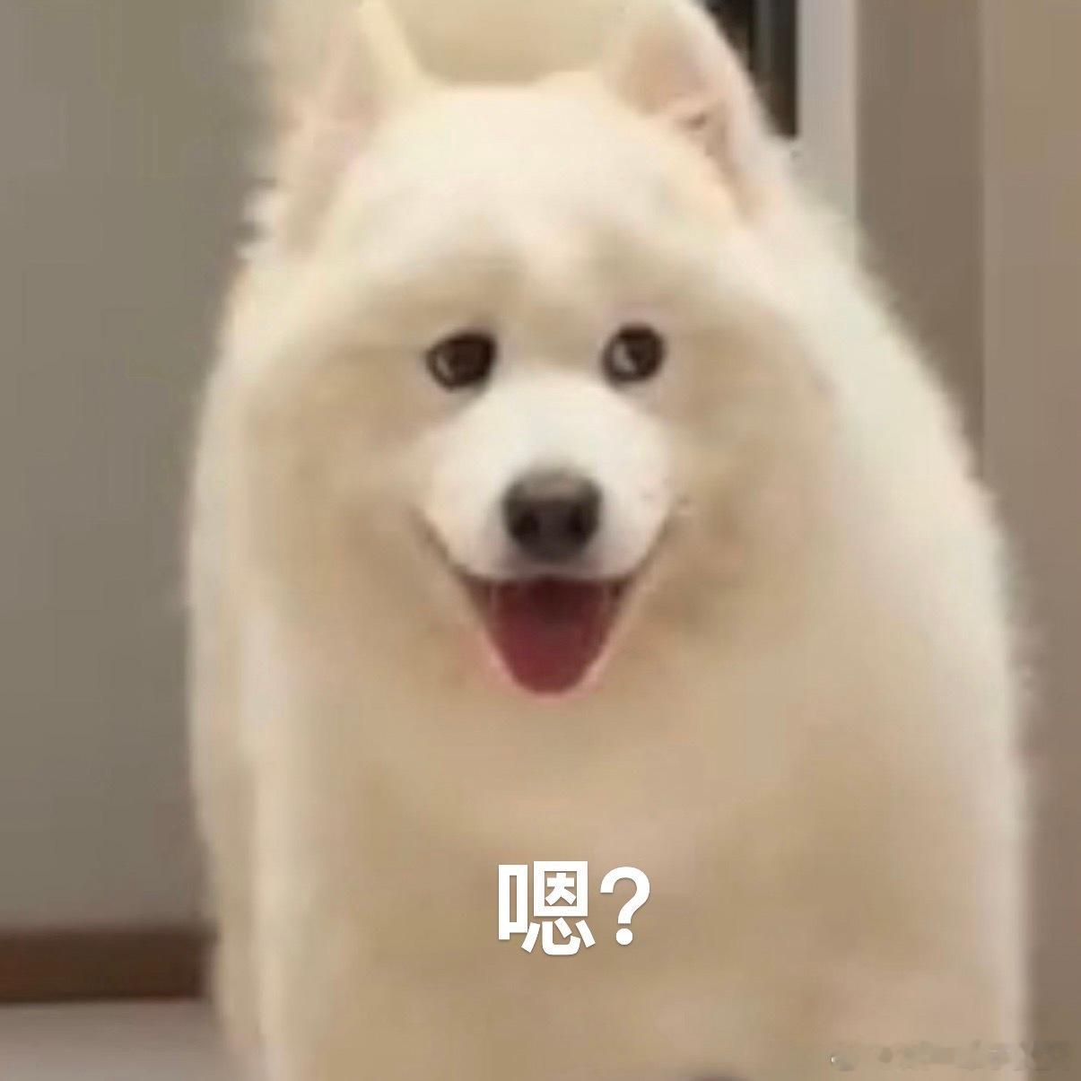 要不要这么可爱 我的宝宝们[泪] ​​​