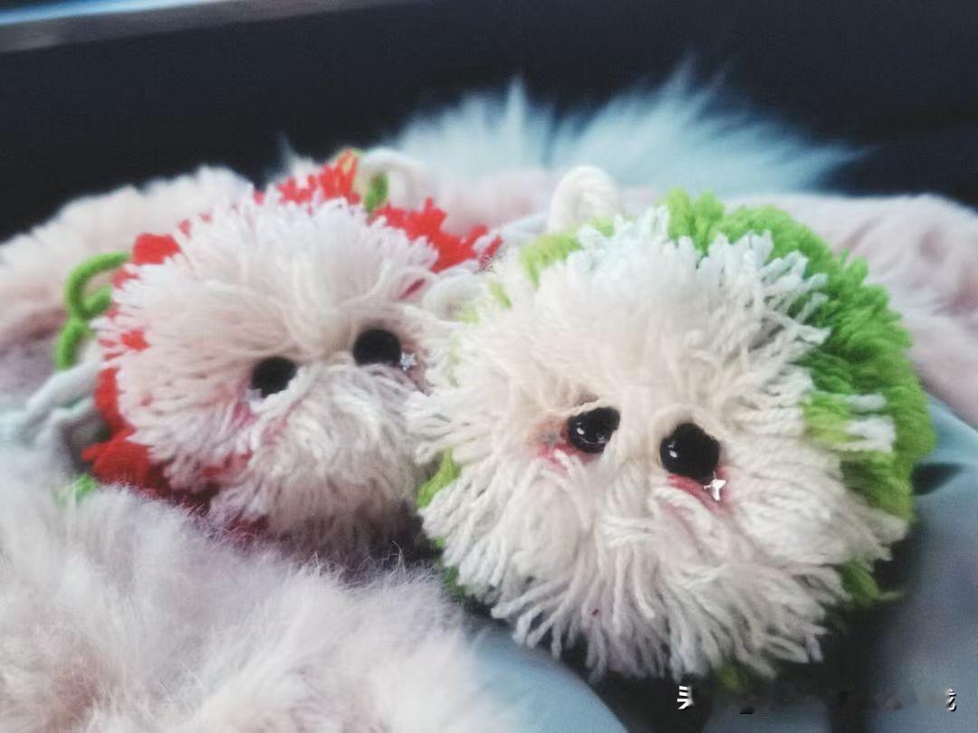 分享我这周有趣的事：经过分析，我这周超有意思的事必须是“搓”出了这俩小毛球！
本