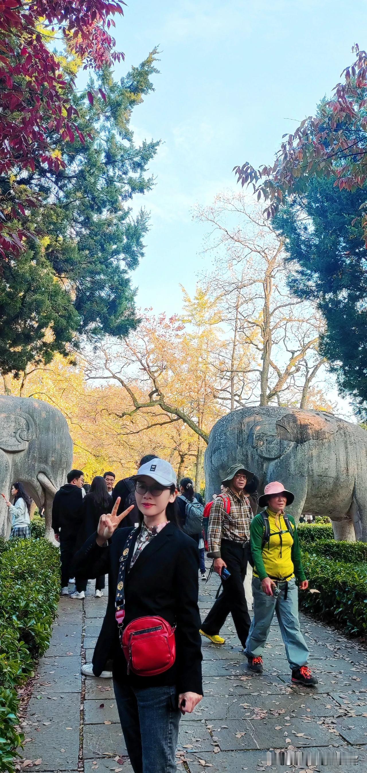 秋天，五彩缤纷，热情洋溢。

比起春天的娇嫩，秋天更让人舒适，经过盛夏的洗礼，枝