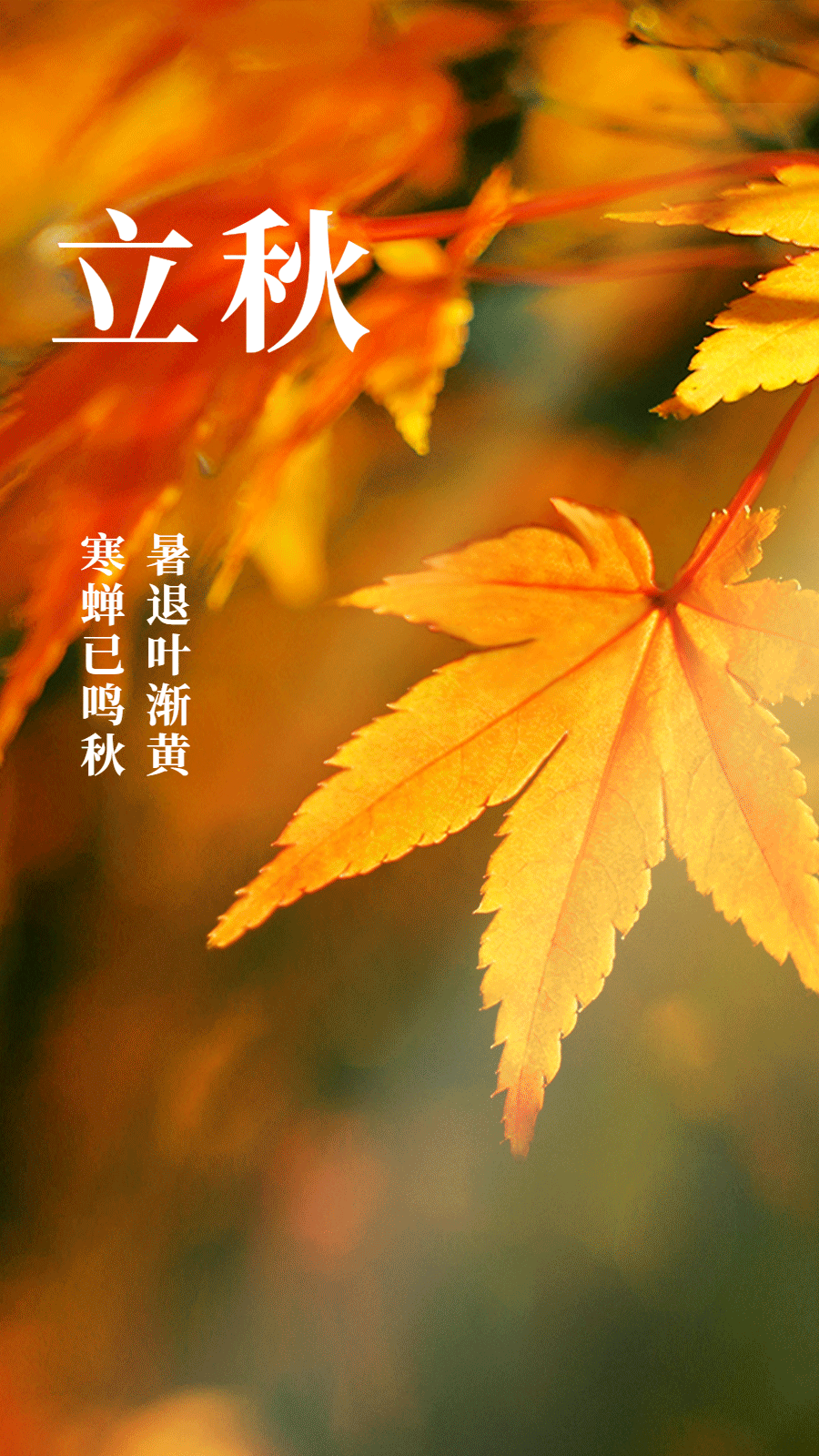 通知大家
今天8月7日立秋，正是中伏之时，又是晚上19点42分立秋，属于晚立秋，