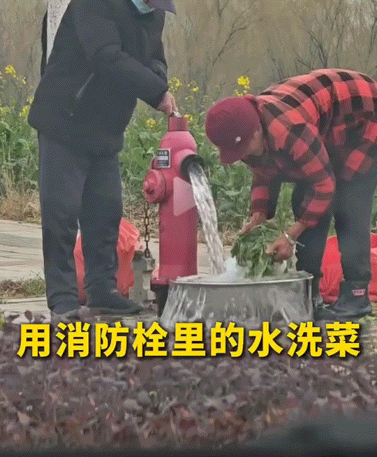 得不偿失。安徽，俩老人用消防栓里的水洗菜，但菜洗好后，因闸阀太紧，愣是半小时都没