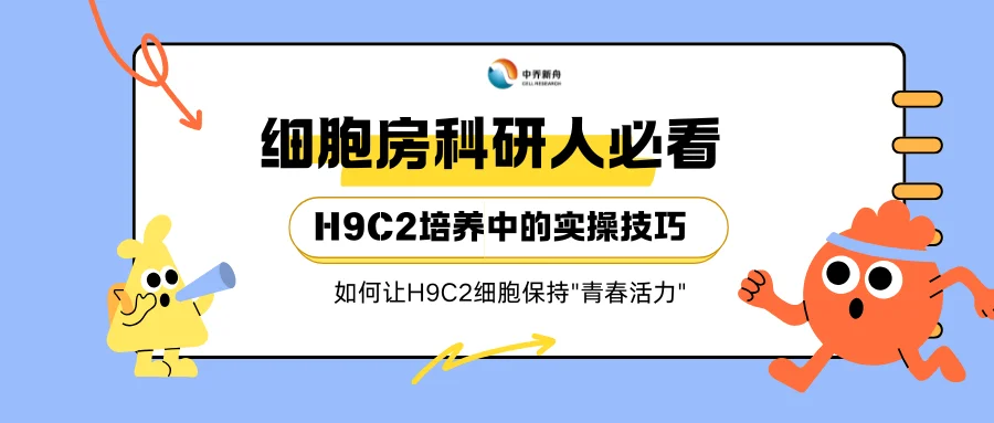 细胞房科研人必看：H9C2培养中的实操技巧！