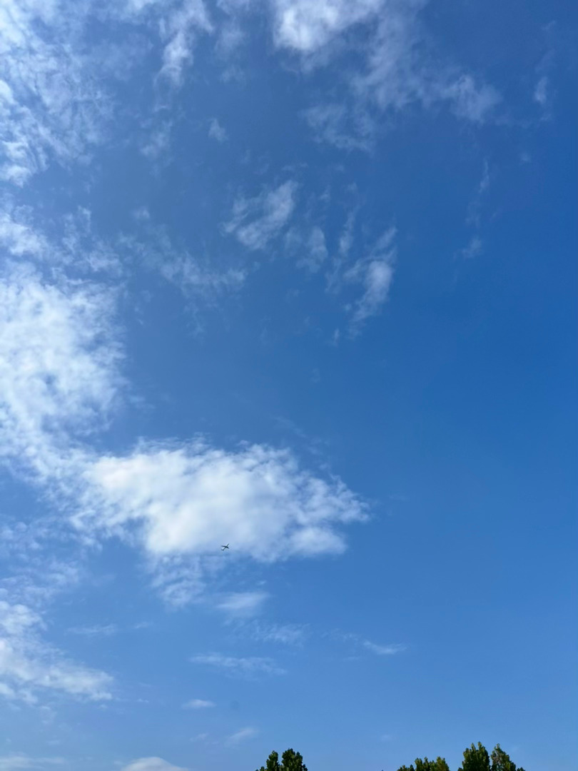 八月到了，每天攒一点努力和可爱，换取一束光和辽阔的未来。生活手记茶人莉语