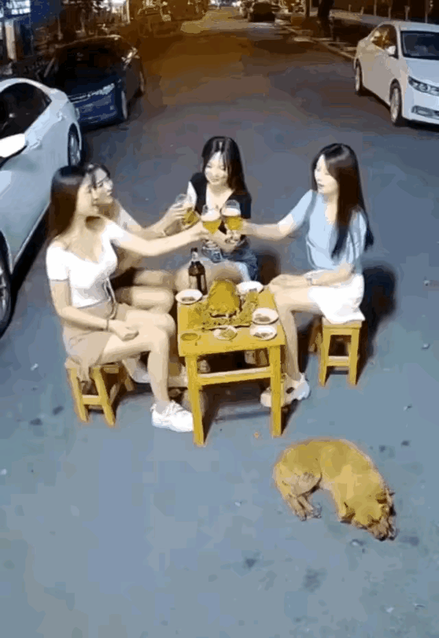 现在的ai无处不在啊[泪奔][泪奔]