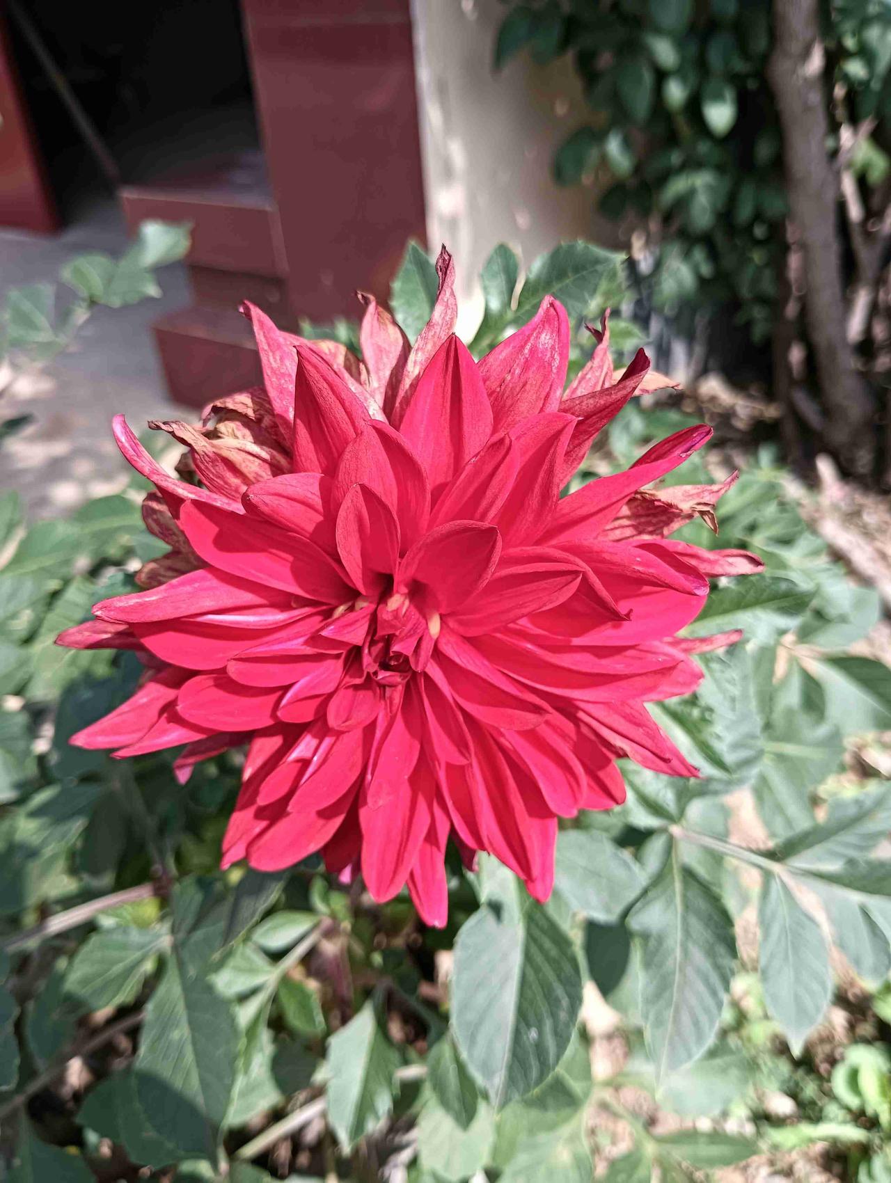 我的今日状态：😁轻松愉快
我这里的天气：☀️晴天