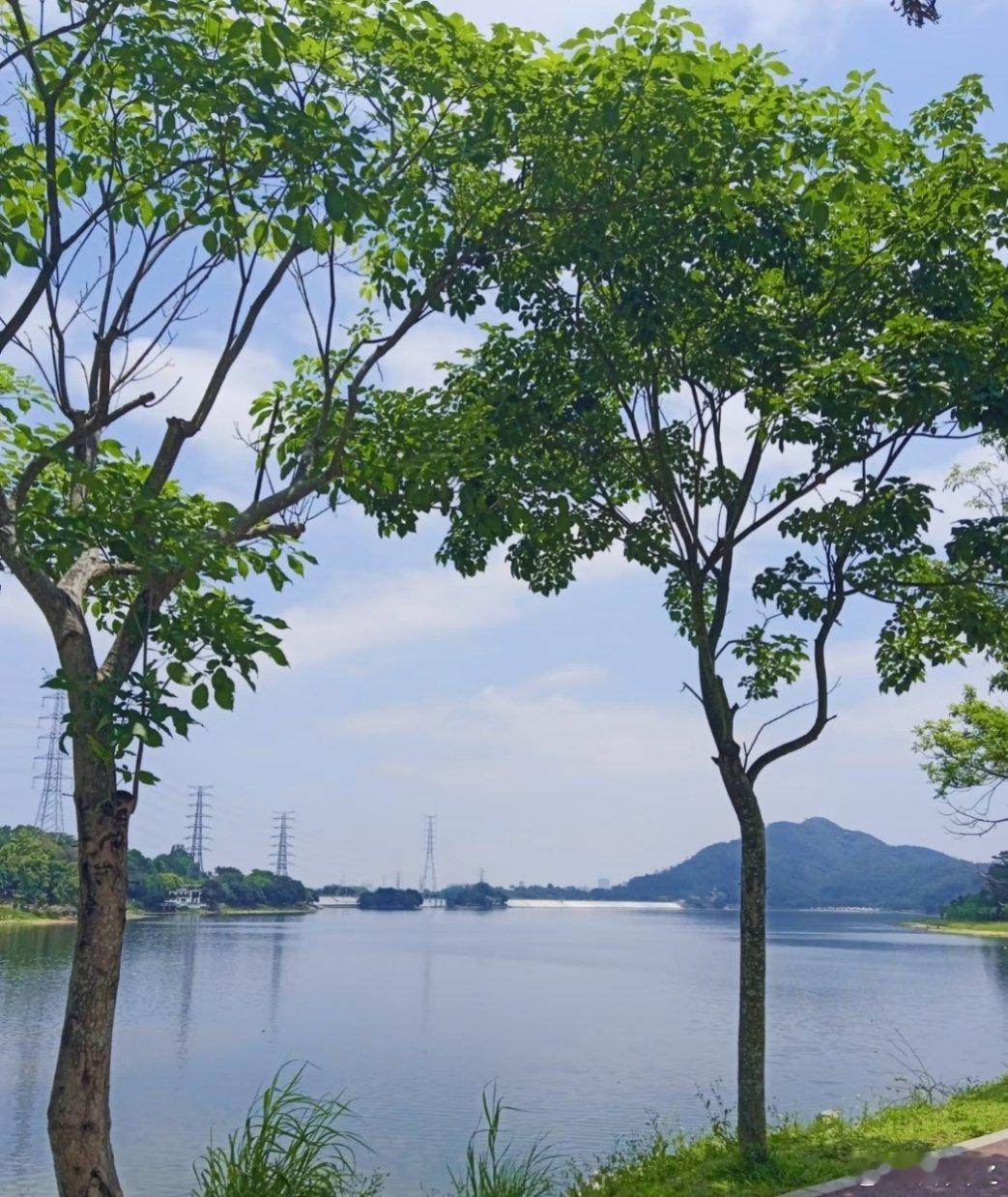 我现在只想和温柔的人待在一起厌倦了争辩和风浪，只想寻一处安静的角落。那里有耐心的