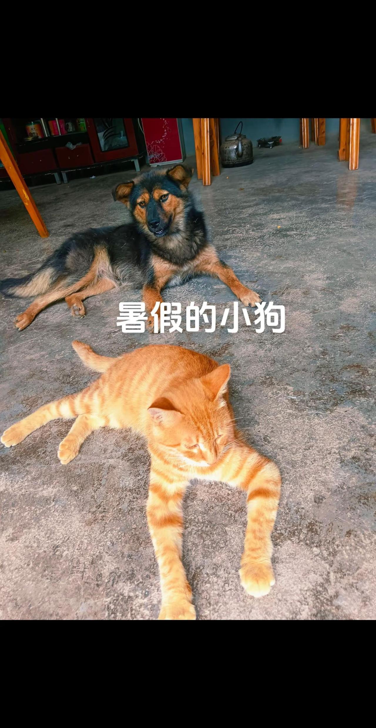 谁懂回家看到我的柜子上面长得全是霉菌的崩溃，暑假才买的柜子！！！到底是谁在养霉菌