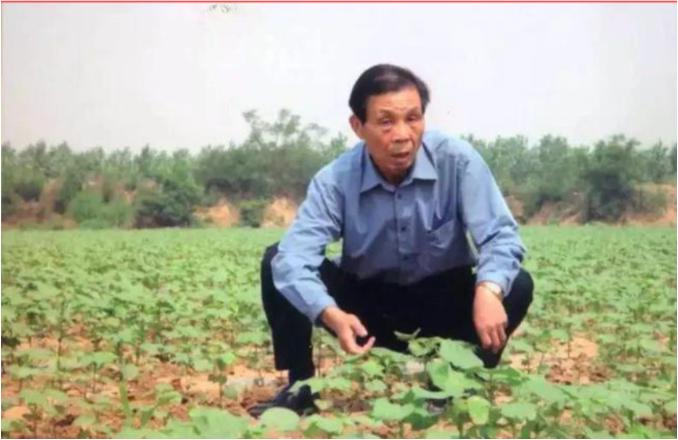 1991年，王伯祥从寿光卸任，前往潍坊担任副市长时，竟将院子里剩余的蜂窝煤和木柴