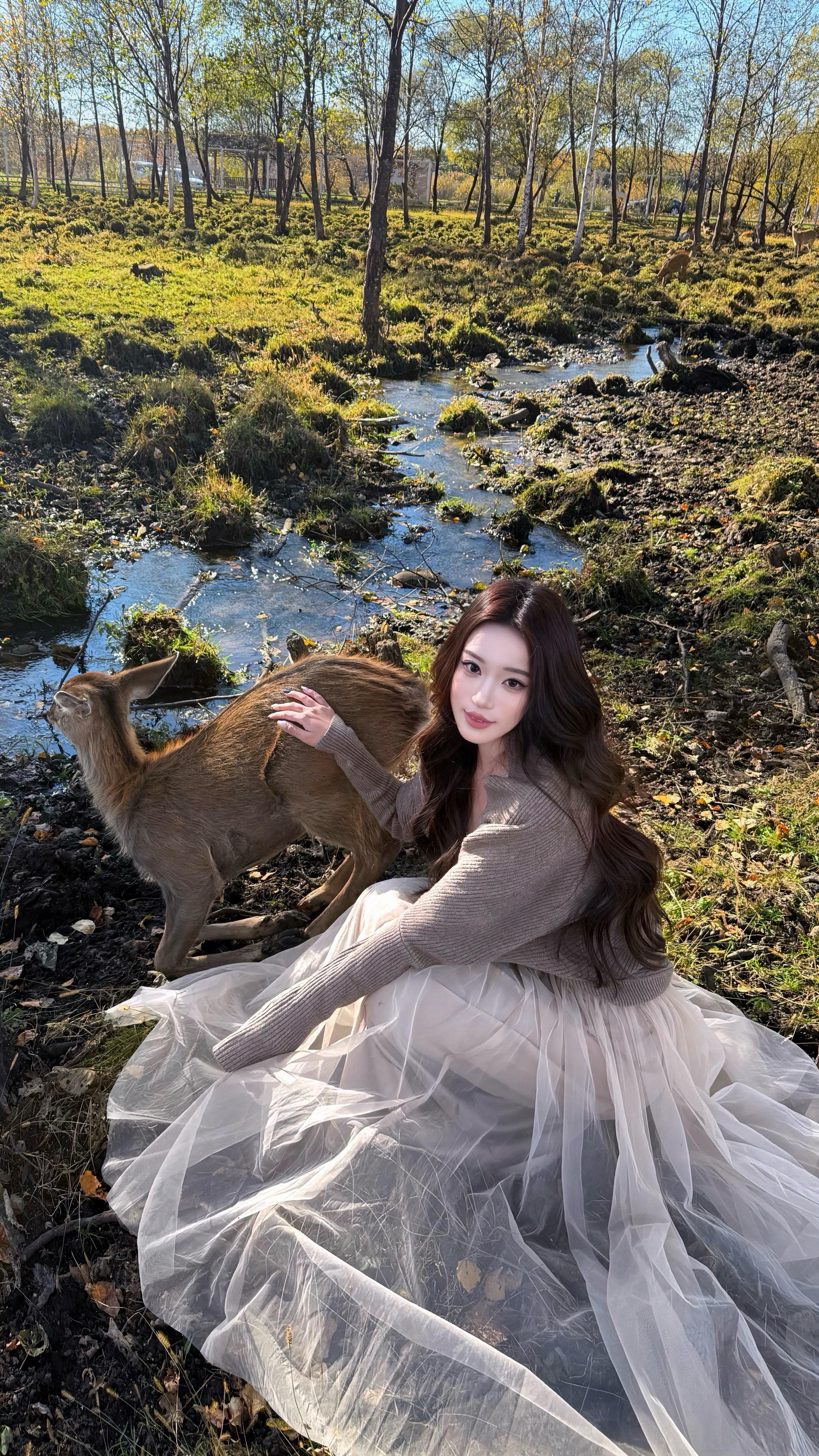 林深时见鹿～🦌