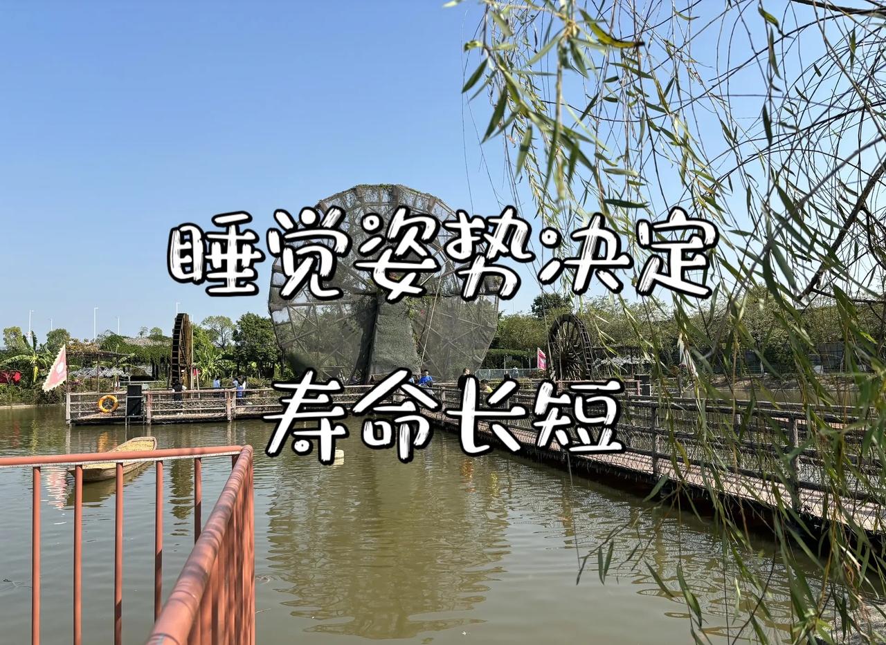 亚运会女排决赛，中国队3-0横扫日本队，三连冠+十冠王！但最让人热血沸腾的，是第
