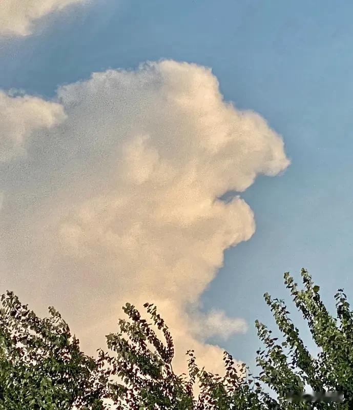 经济利益的考量，使特朗普不得不放下身段，庞大规模的政府债务，使美国内通胀居高不下