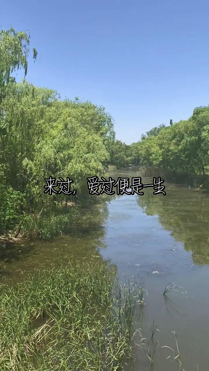 来过，爱过便是一生。
有的人总是怕死，实际上六七十岁离开和八九十岁离开本质上没有
