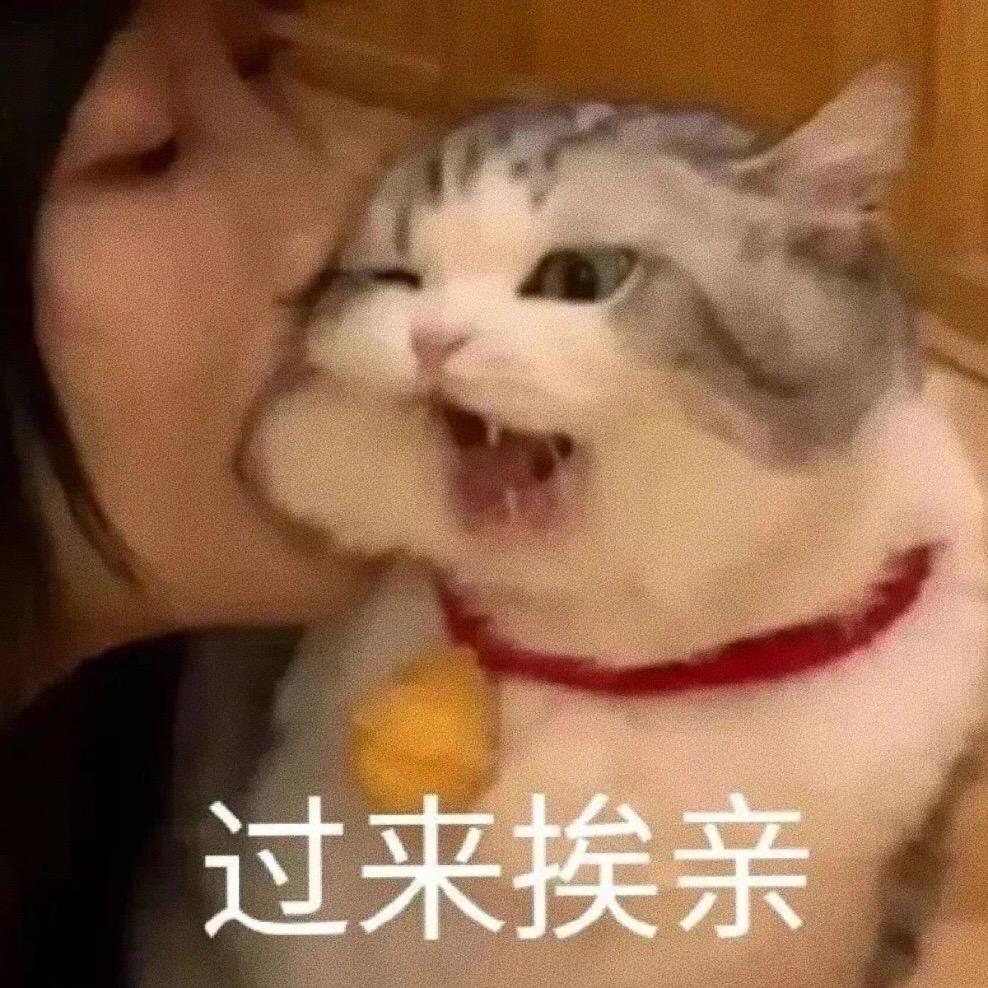 过来挨贴贴表情包