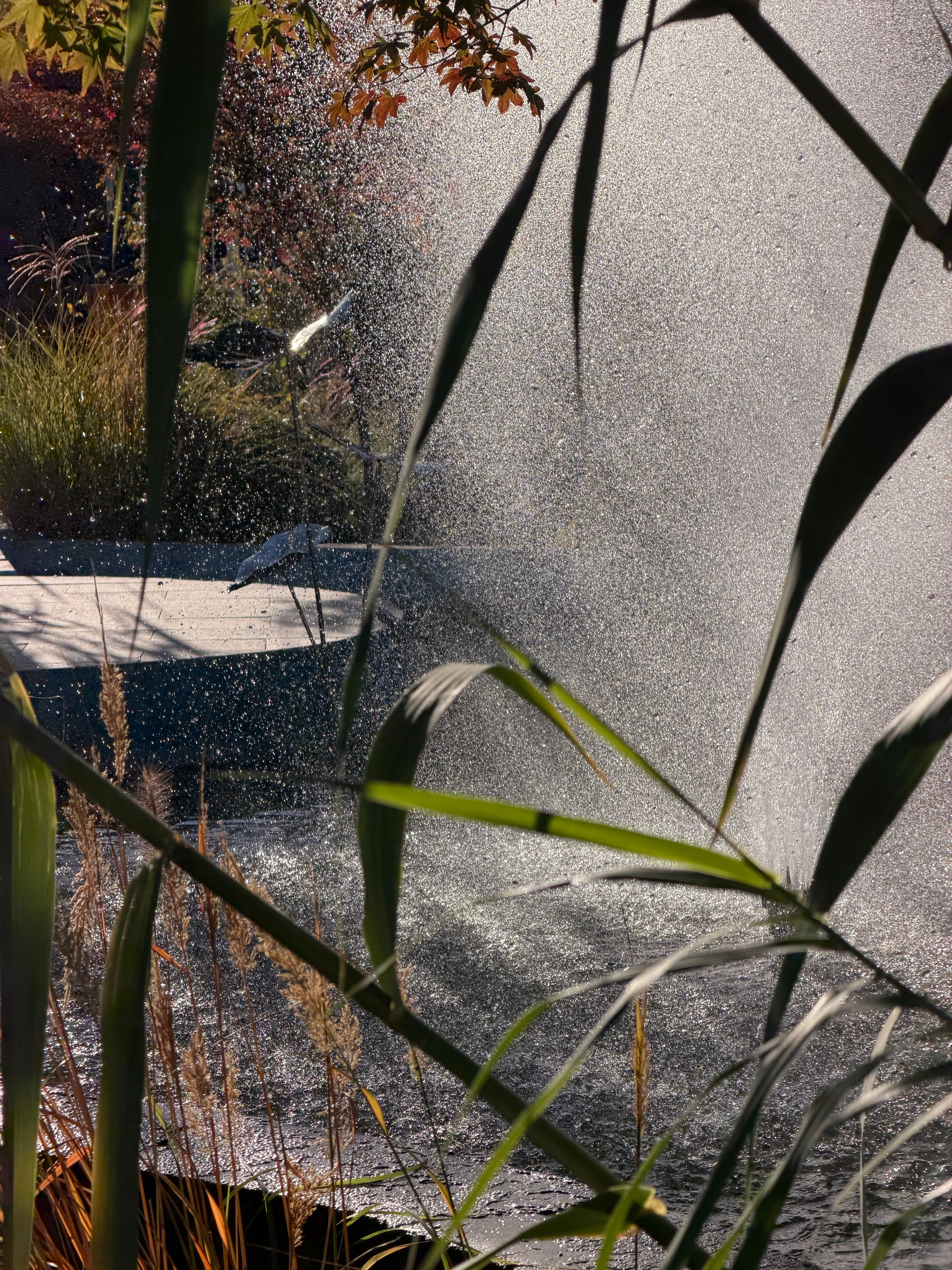 难得的好天气☀️ ​​​