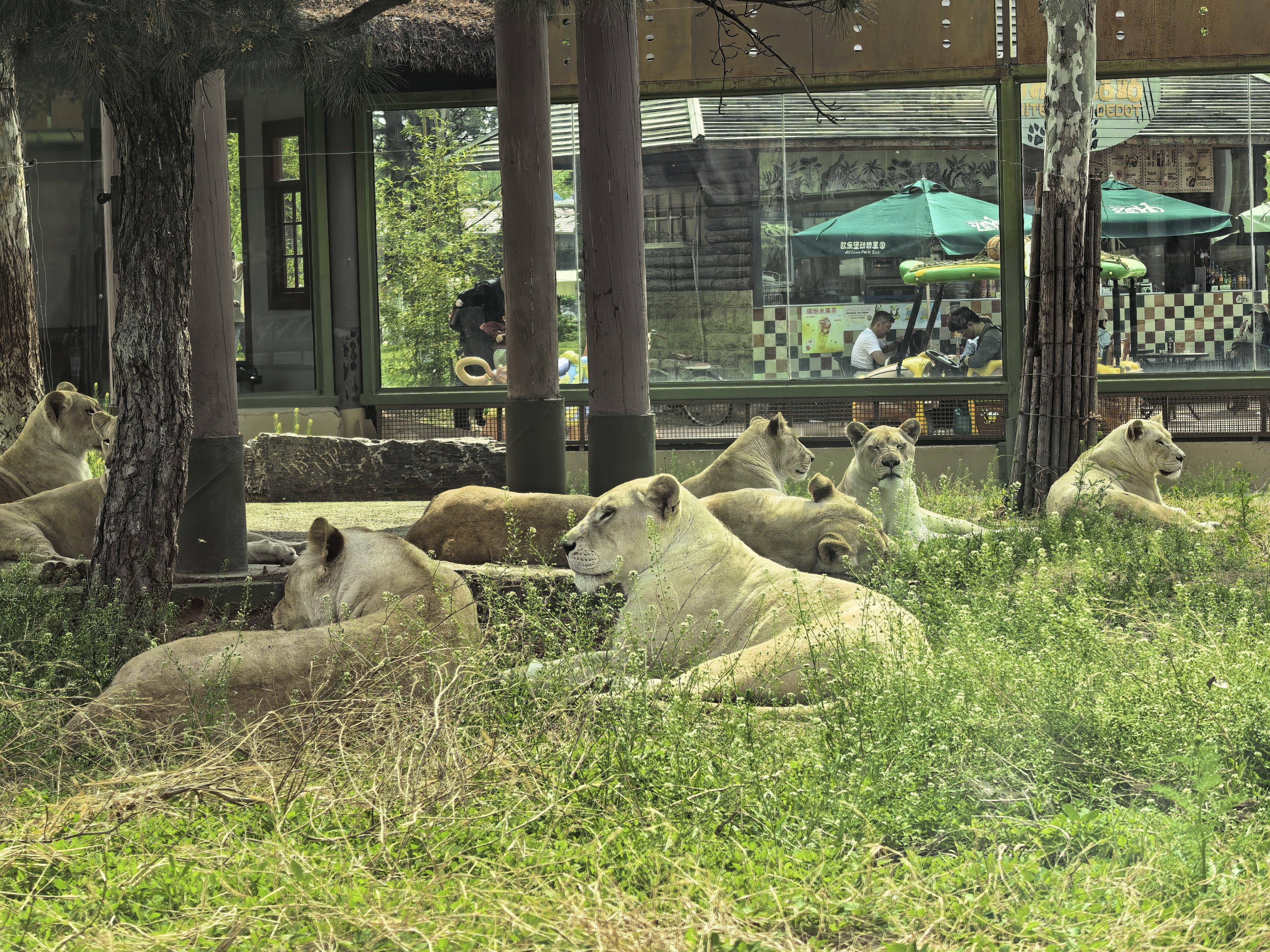 周末，带小宝来看动物