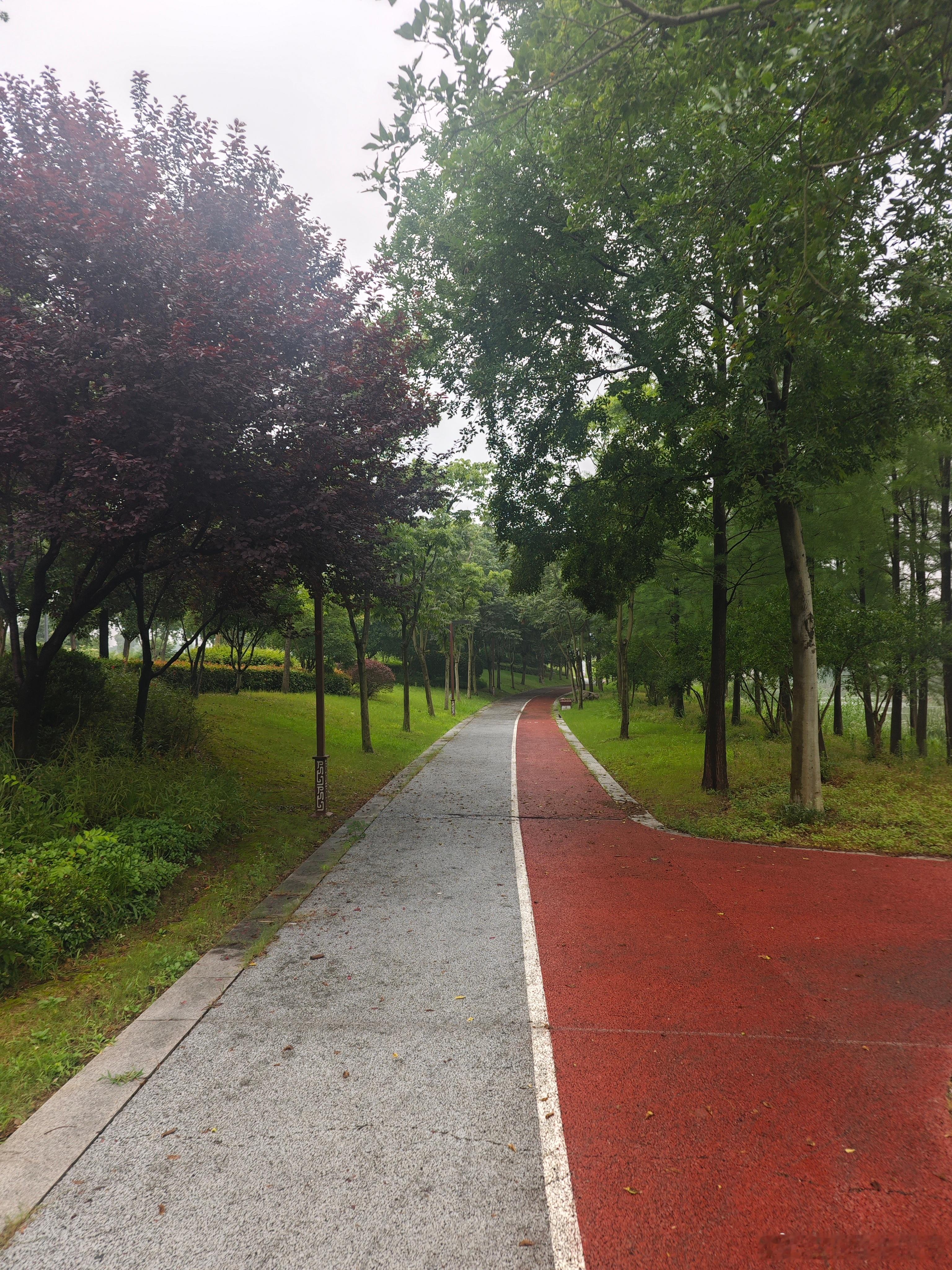 雨后的空气好清新啊 
